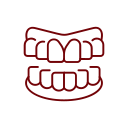 noun-straight-teeth-2752758-720307